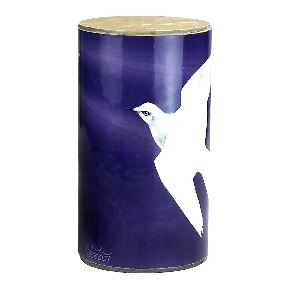 Remo 4 İnç Praise Shakers (SR-0204-18)