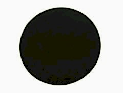 Regal Tip 341P 8'' Çalışma Pad'i