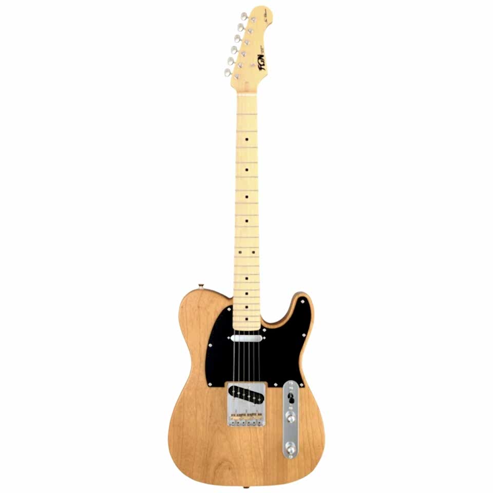 Fujigen Telecaster Elektro Gitar NTE100MAHVNT