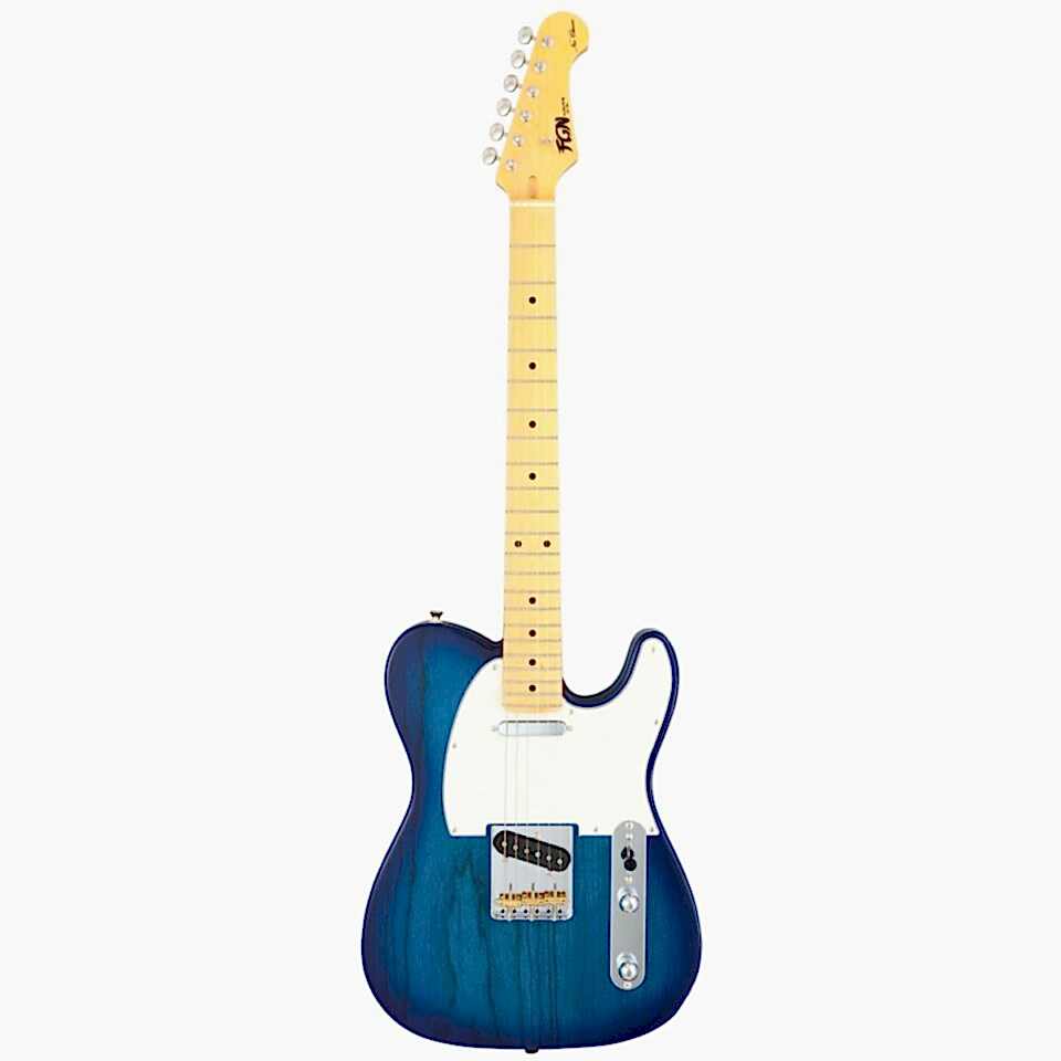 Fujigen Telecaster Elektro Gitar NTE100MAHSBB
