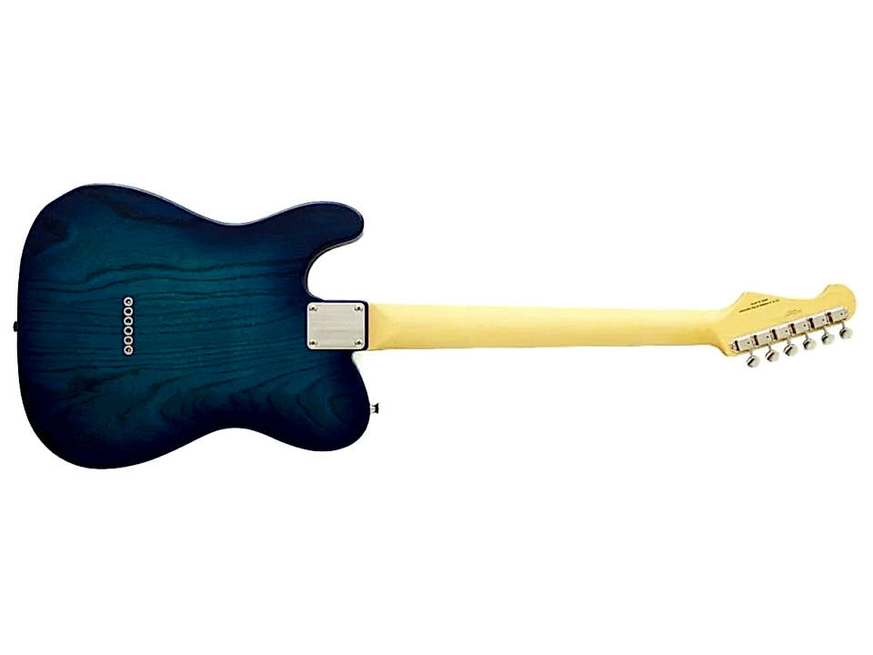 Fujigen Telecaster Elektro Gitar NTE100MAHSBB