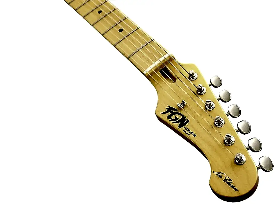 Fujigen Telecaster Elektro Gitar NTE100MAHSBB